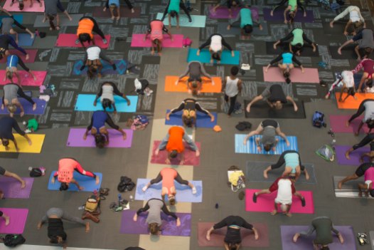 Free Community Yoga at Wake Forest Innovation Quarter, Winston-Salem, Townies Winston-Salem events